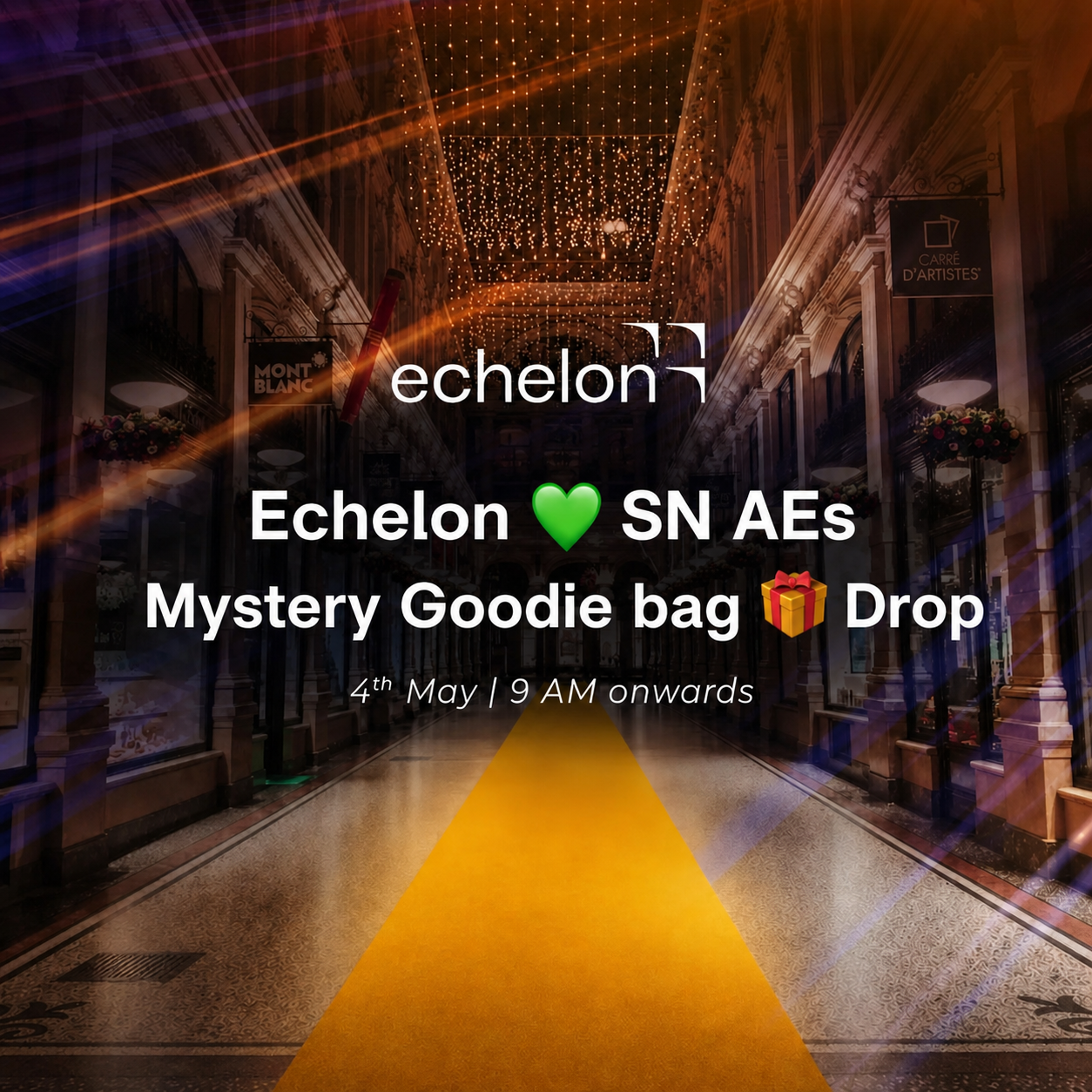 Echelon 💚 SN AEs | Mystery Goodie bag 🎁 Drop